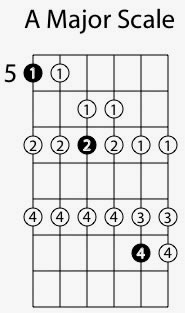 Major Scale Sequencing in 3